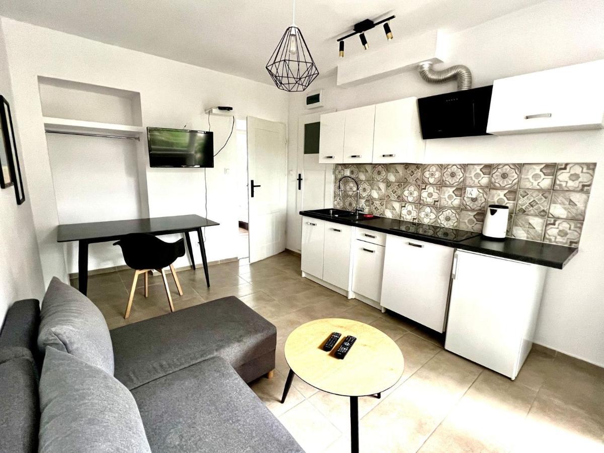 Familly Apartament 6 ミエンジズドロイェ エクステリア 写真